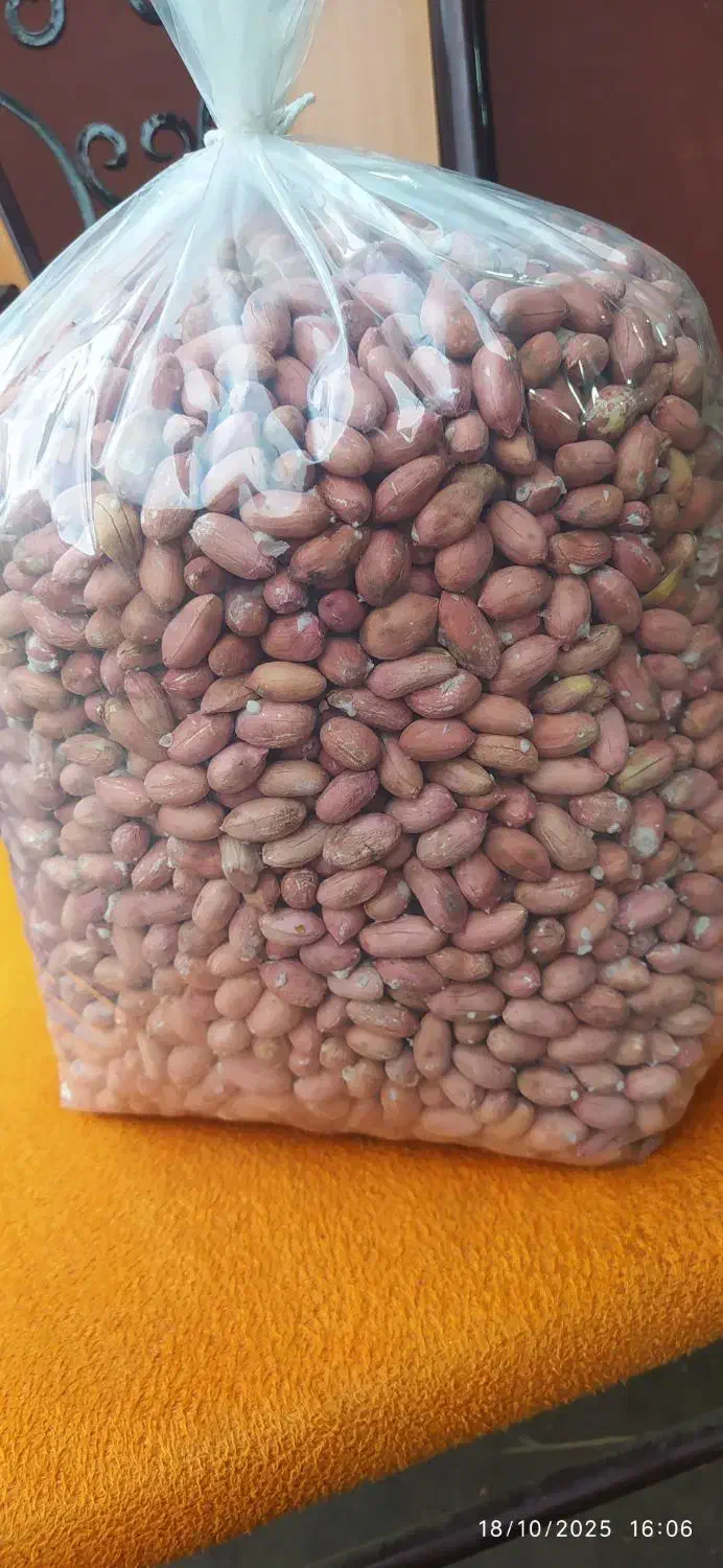 بادام زمینی آستانه|عمده‌فروشی|کیاشهر, |دیوار