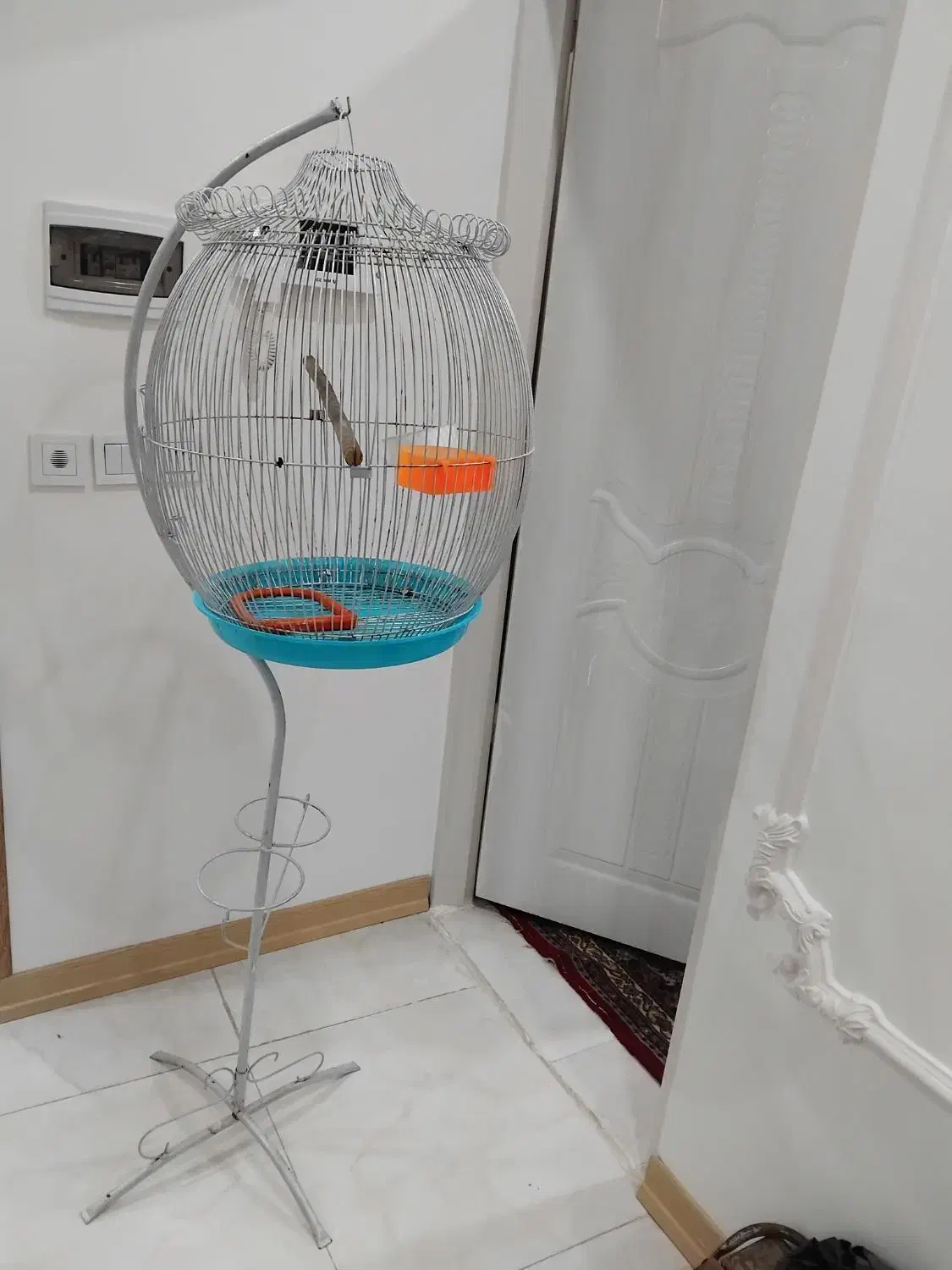 قفسه پرنده ایستاده|لوازم جانبی حیوانات|مشهد, نوید|دیوار