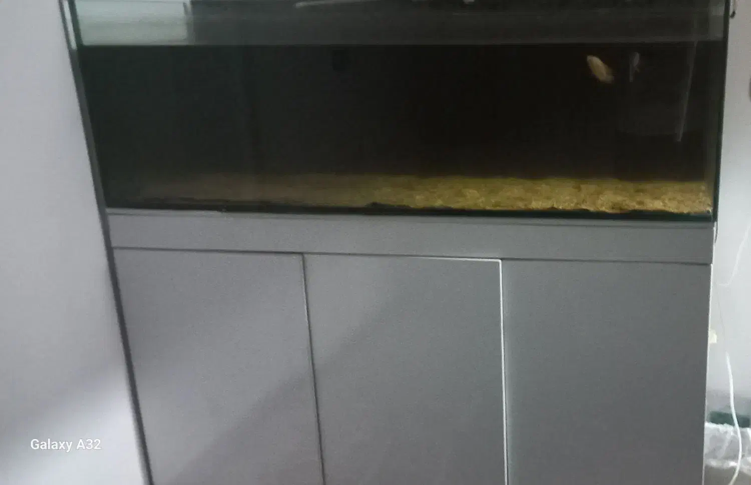 اکواریوم بزرگ a p a|ماهی|دزفول, |دیوار