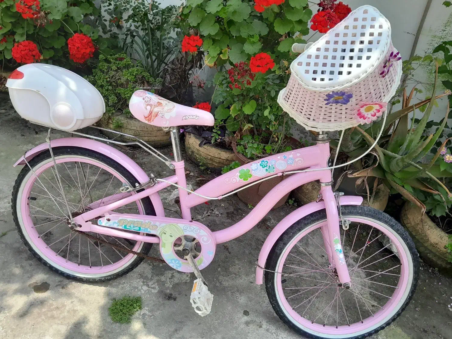 دوچرخه دخترانه|دوچرخه، اسکیت، اسکوتر|بندر انزلی, میان پشته|دیوار