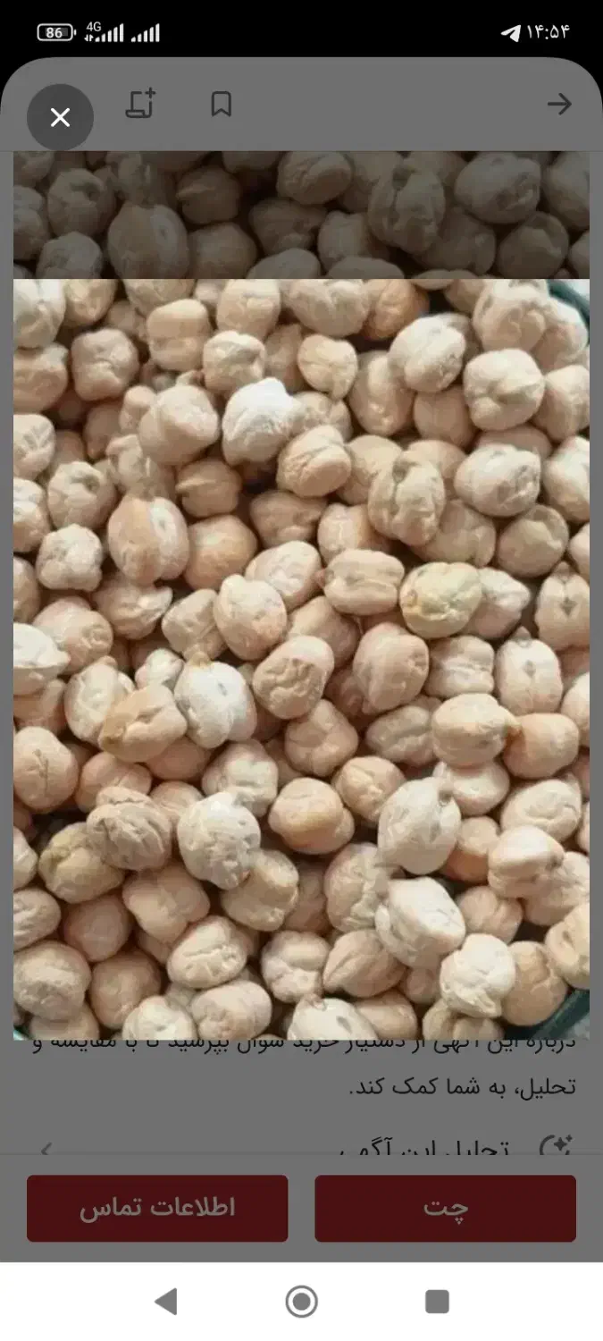 نخودبهاره|خوردنی و آشامیدنی|ثلاث باباجانی, |دیوار