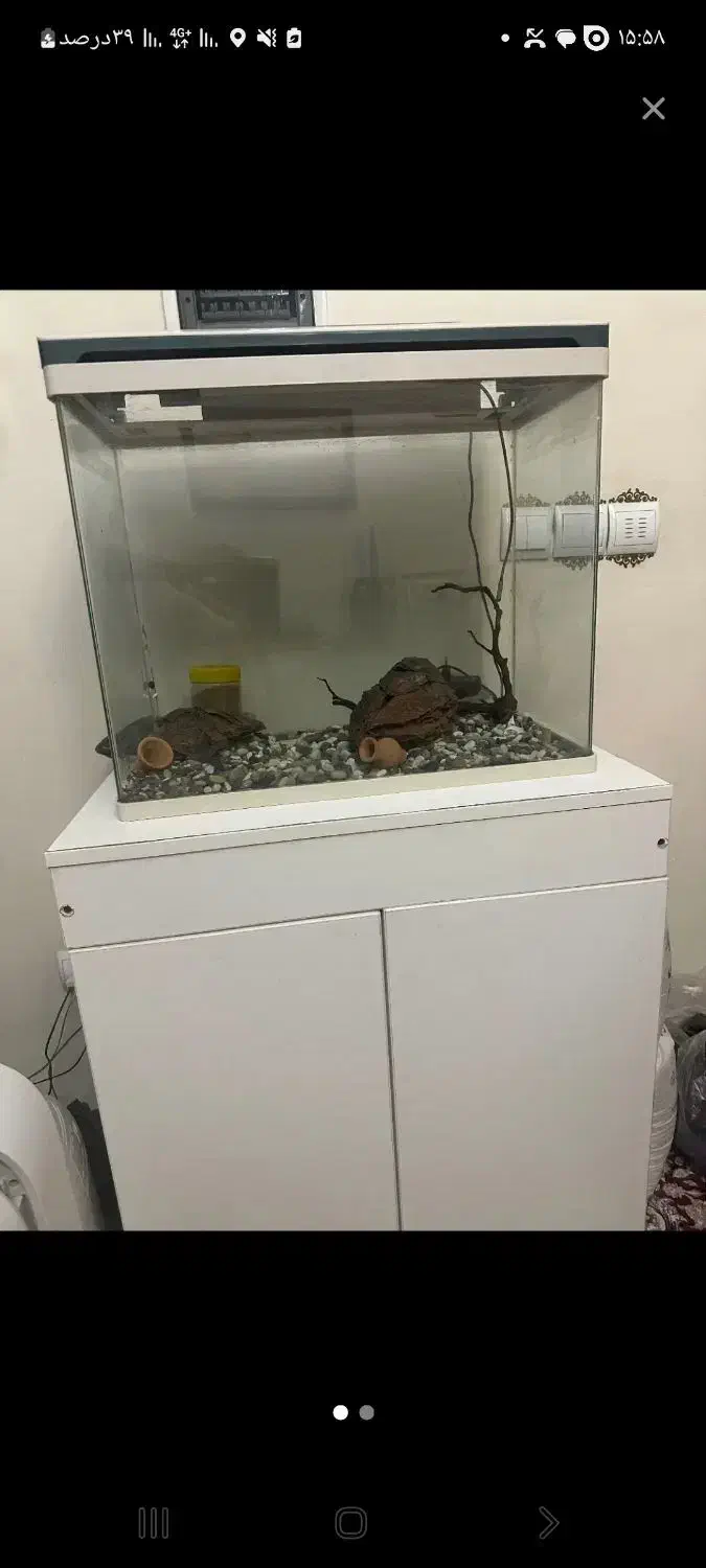 آکواریوم شرکتی فول تجهیزات|ماهی|تبریز, |دیوار