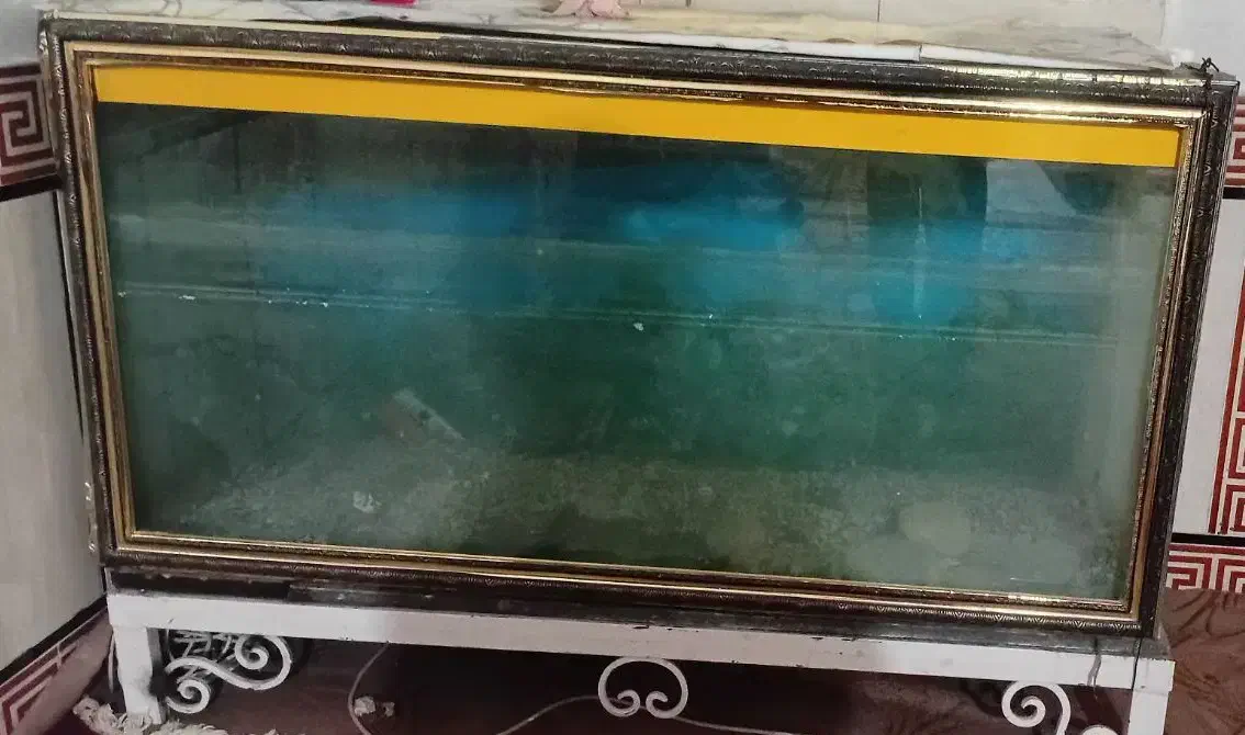 آکواریوم|ابزارآلات|اندیمشک, |دیوار