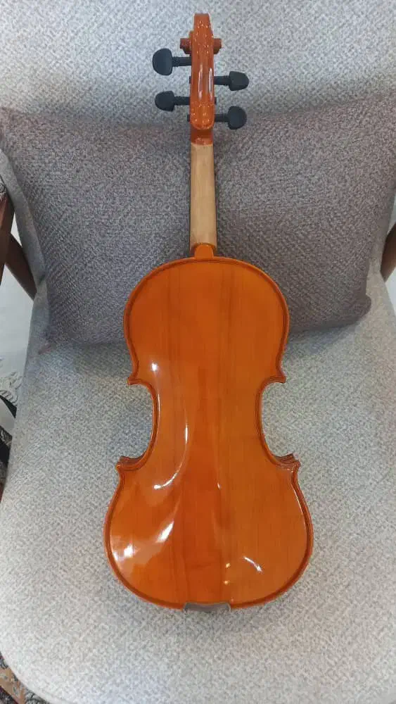 ویولن والنسیا|ویولن|گرگان, |دیوار