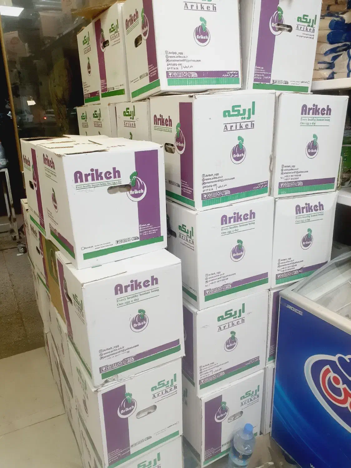 فروش کلی و جزئی تخم مرغ زرده طلایی اریکه|خوردنی و آشامیدنی|کرج, پیشاهنگی|دیوار