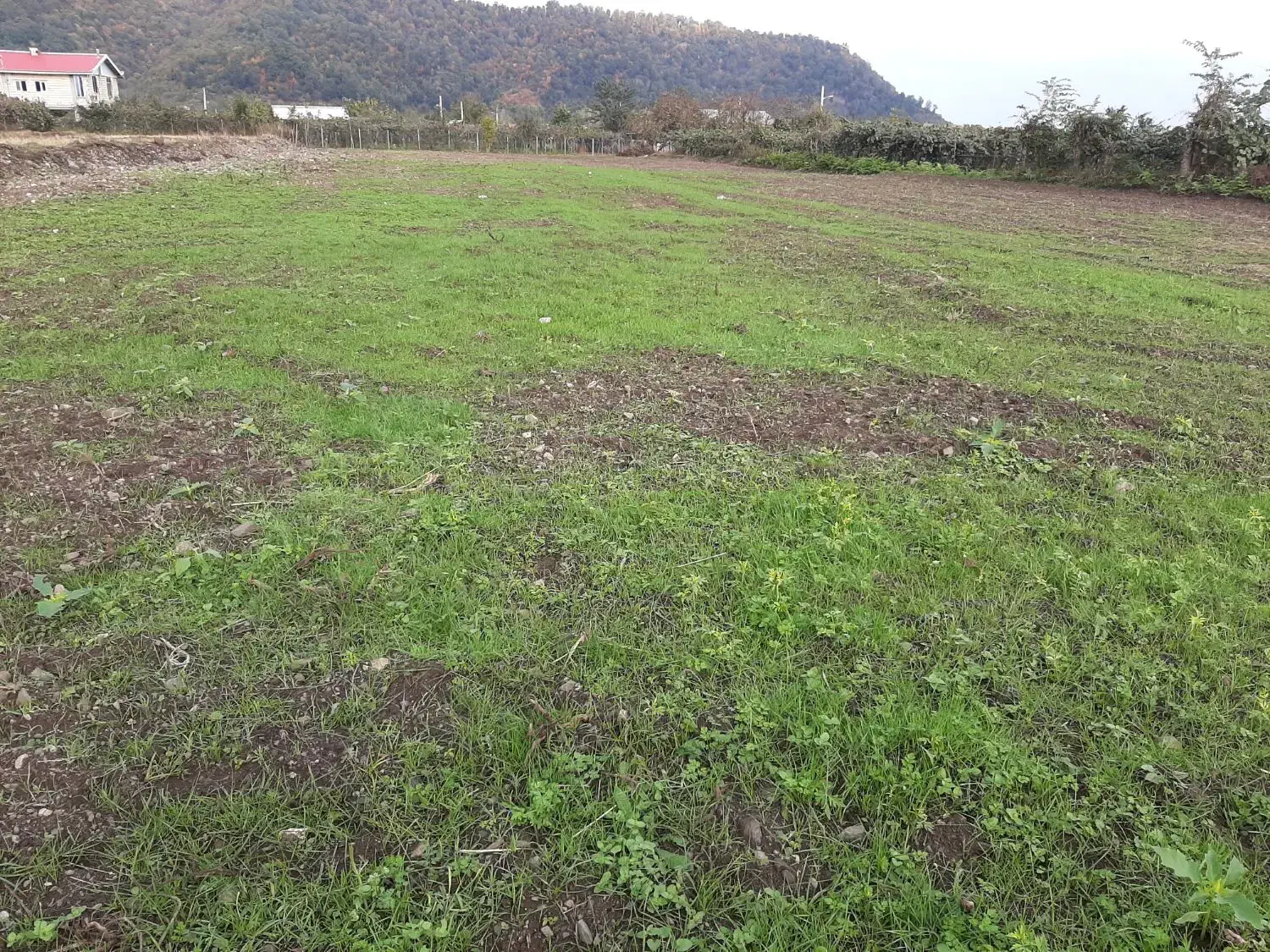 زمین تجاری بر جاده اصلی تالش آستارا|فروش زمین و ملک کلنگی|تالش, جوکندان|دیوار