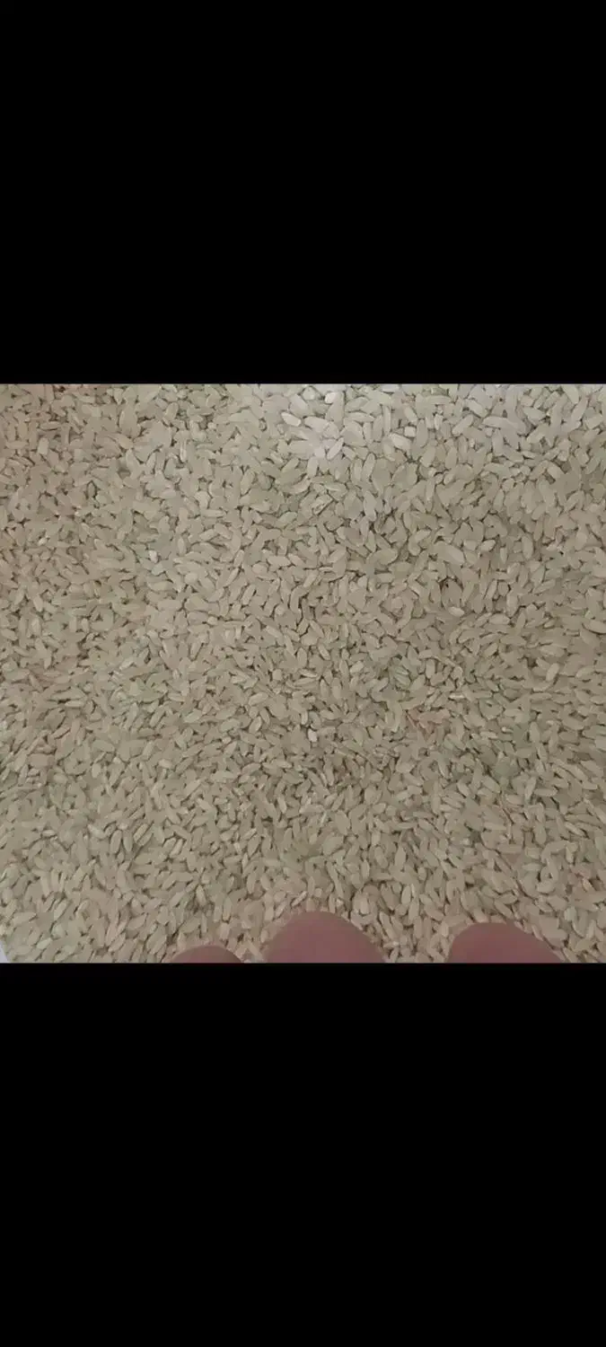 برنج چمپا کامفیروز|خوردنی و آشامیدنی|اردکان, |دیوار