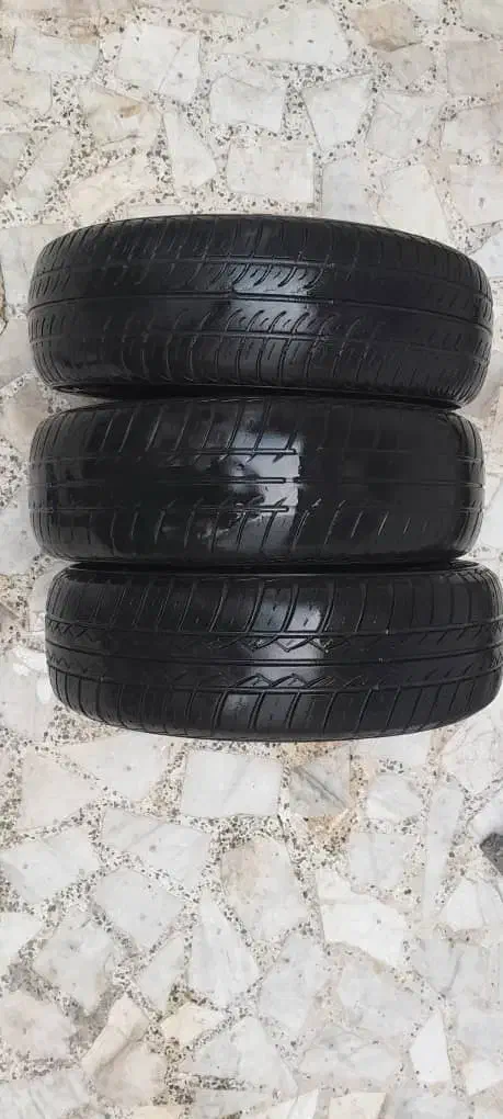 لاستیک پراید و پژویی|قطعات یدکی و لوازم جانبی|رشت, کاکتوس|دیوار