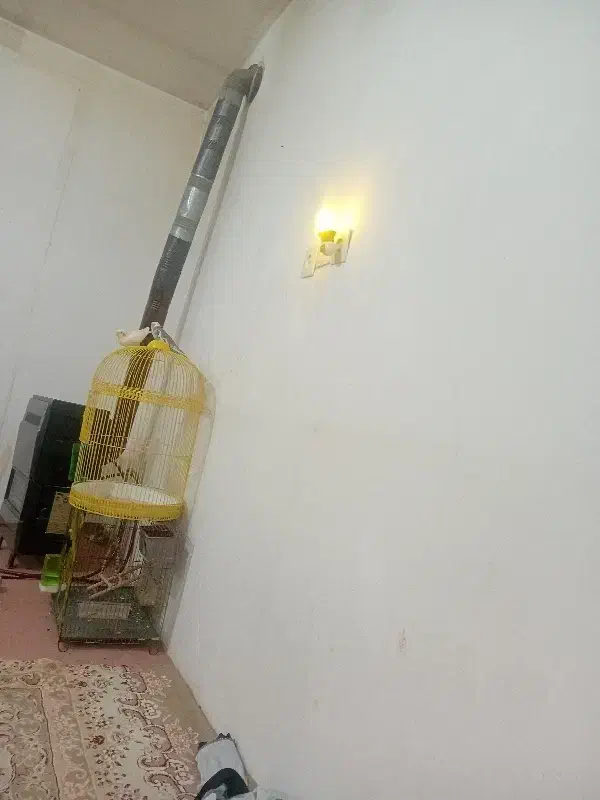 هم‌خونه‌ای.‌|اجارهٔ خانه و ویلا|مشهد, کوشش|دیوار