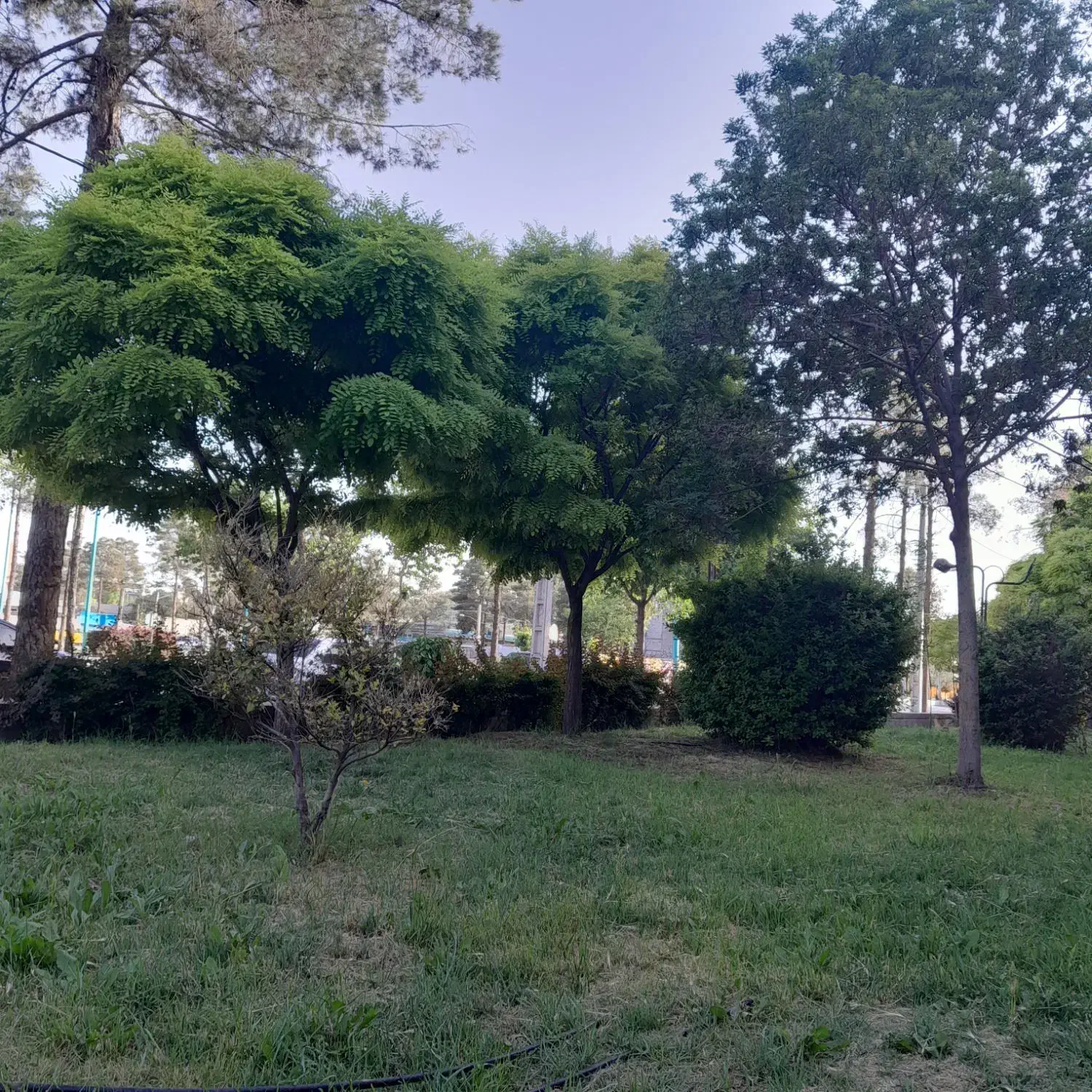 راهنمایی|فعالیت داوطلبانه|کرمان, |دیوار