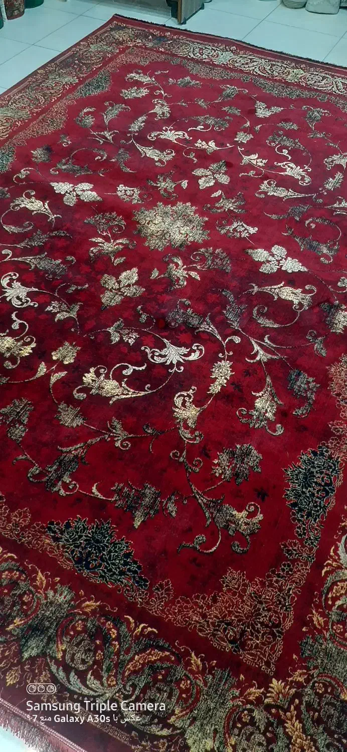 فرش رز|فرش|گرگان, |دیوار