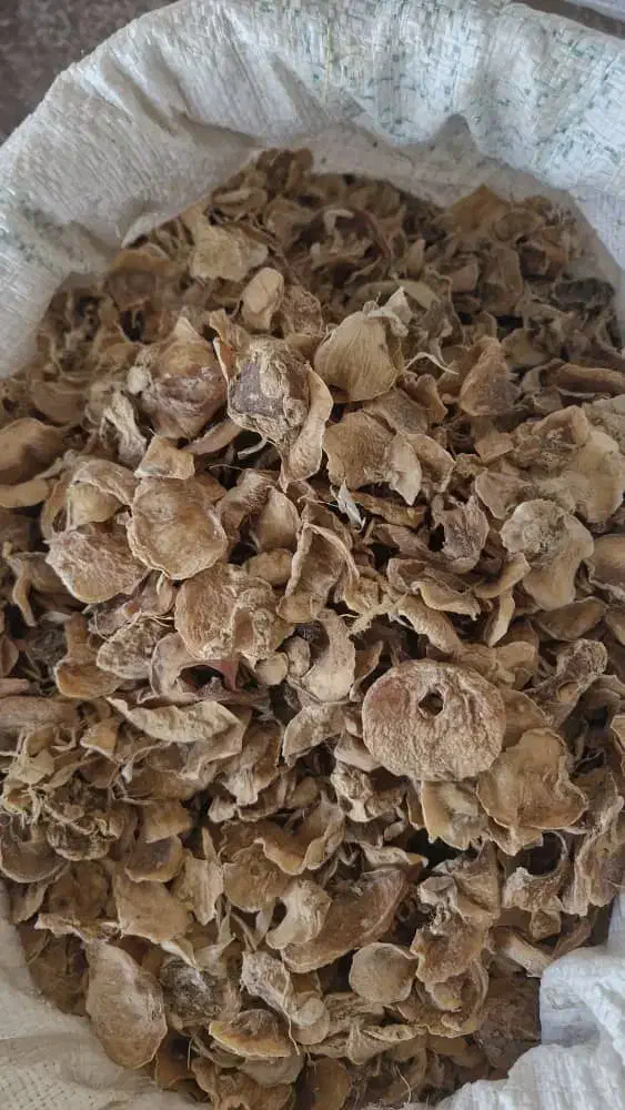 موسیر|عمده‌فروشی|نهاوند, |دیوار