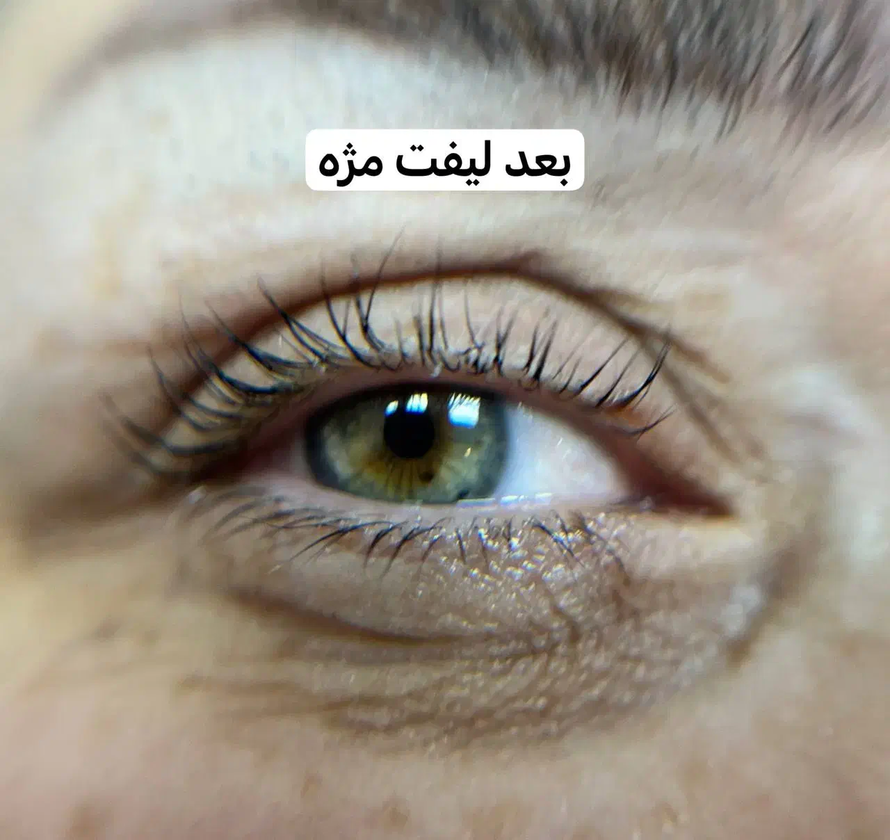 تخفیف ویژه لیفت ابرو و مژه|خدمات آرایشگری و زیبایی|رشت, استادسرا|دیوار