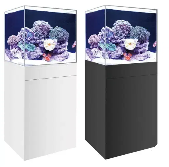 ساخت آکواریوم ریملس سفارشی با میز، اقساط ۶ ماهه|ماهی|تهران, سلسبیل شمالی|دیوار