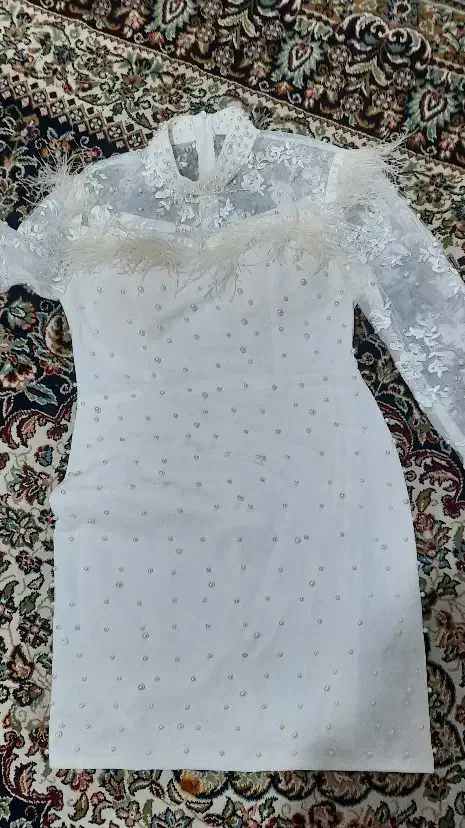 لباس مجلسی|لباس|دورود, |دیوار