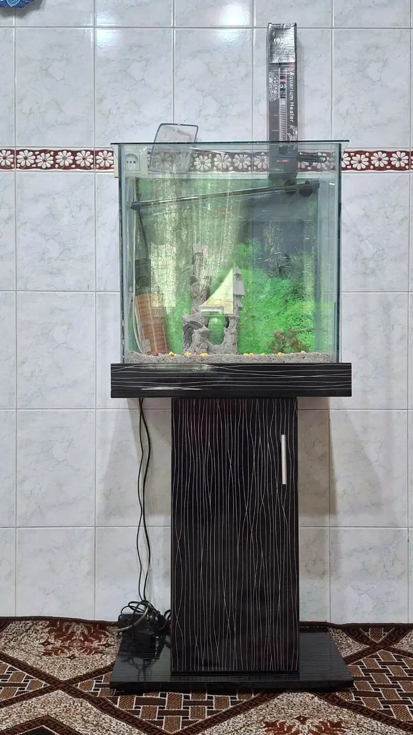 آکواریوم|ماهیگیری|فردیس, سرحدی|دیوار