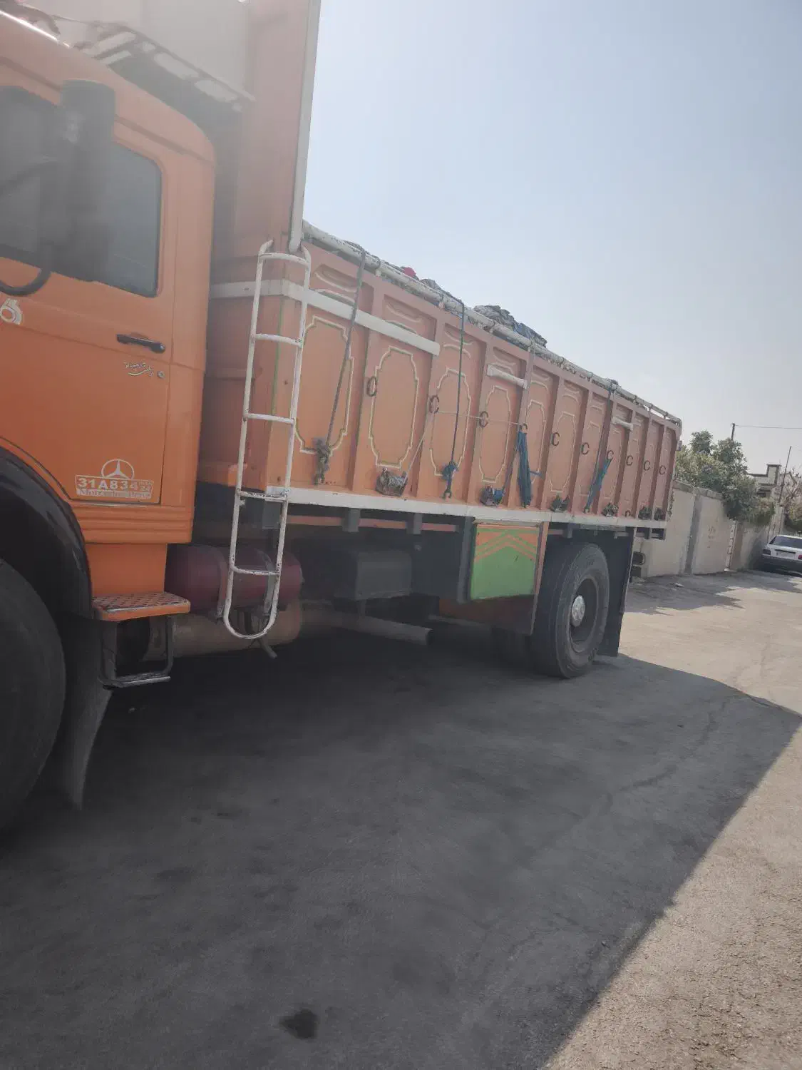 کاه نیشکر|حیوانات مزرعه|زارچ, |دیوار