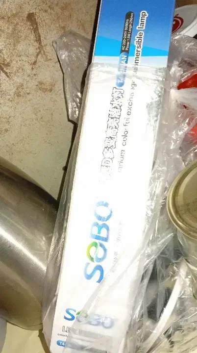 اکواریوم|ماهی|مشکیندشت, |دیوار