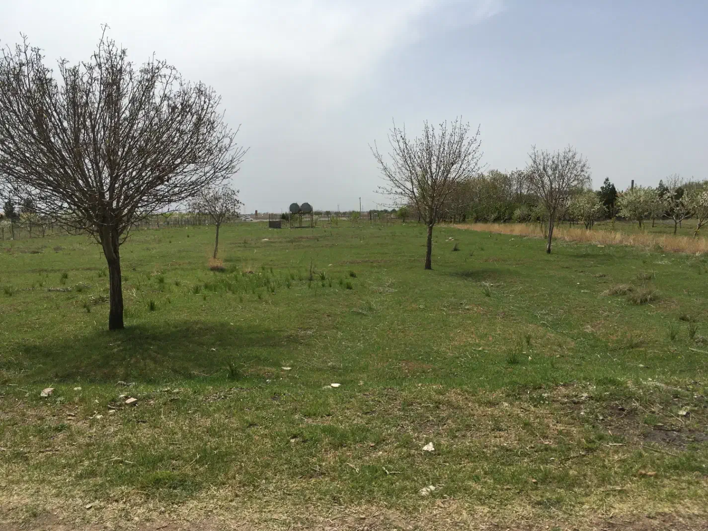 زمین|فروش زمین و ملک کلنگی|قزوین, |دیوار