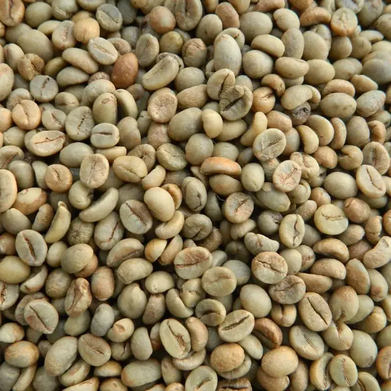 دان سبز قهوه|خوردنی و آشامیدنی|تهران, بازار|دیوار