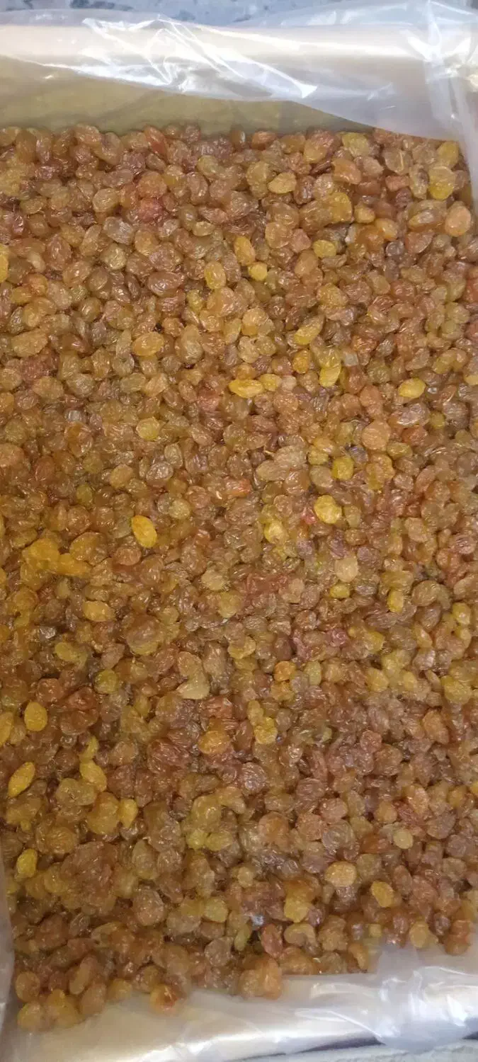 کشمش درجه 1 ملایر|خوردنی و آشامیدنی|اهواز, شریعتی جنوبی|دیوار