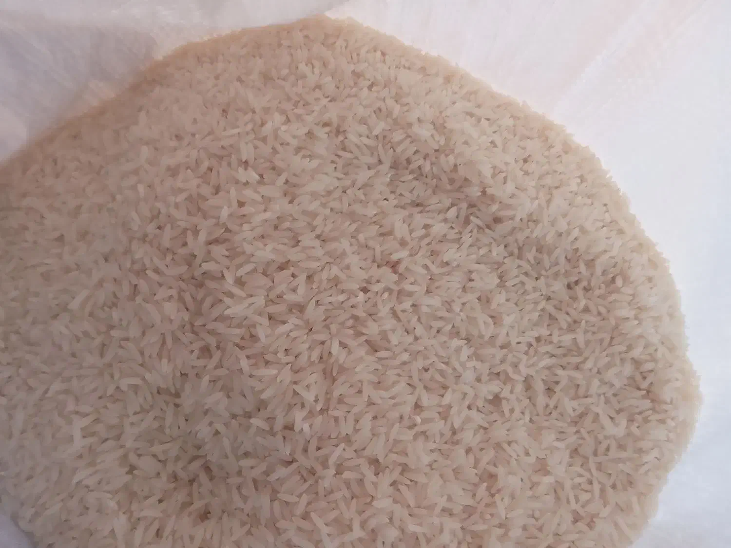 برنج طارم هاشمی درجه یک در حد بوجار|خوردنی و آشامیدنی|فریدون‌کنار, |دیوار