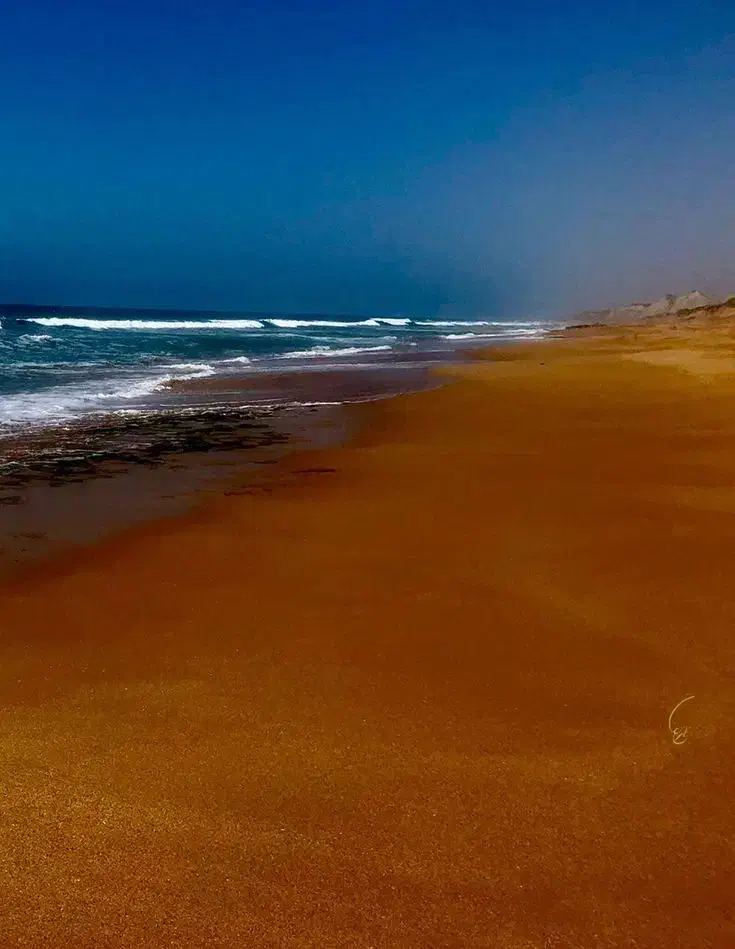 تور گروهی چابهار همراه با اقساط ده ماهه|تور و چارتر|اصفهان, باغ زرشک|دیوار