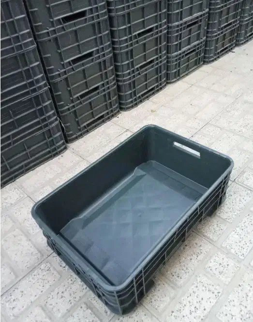 سبد حمل ماهی قزلآلا|ظروف نگهدارنده، پلاستیکی، یکبارمصرف|یاسوج, |دیوار