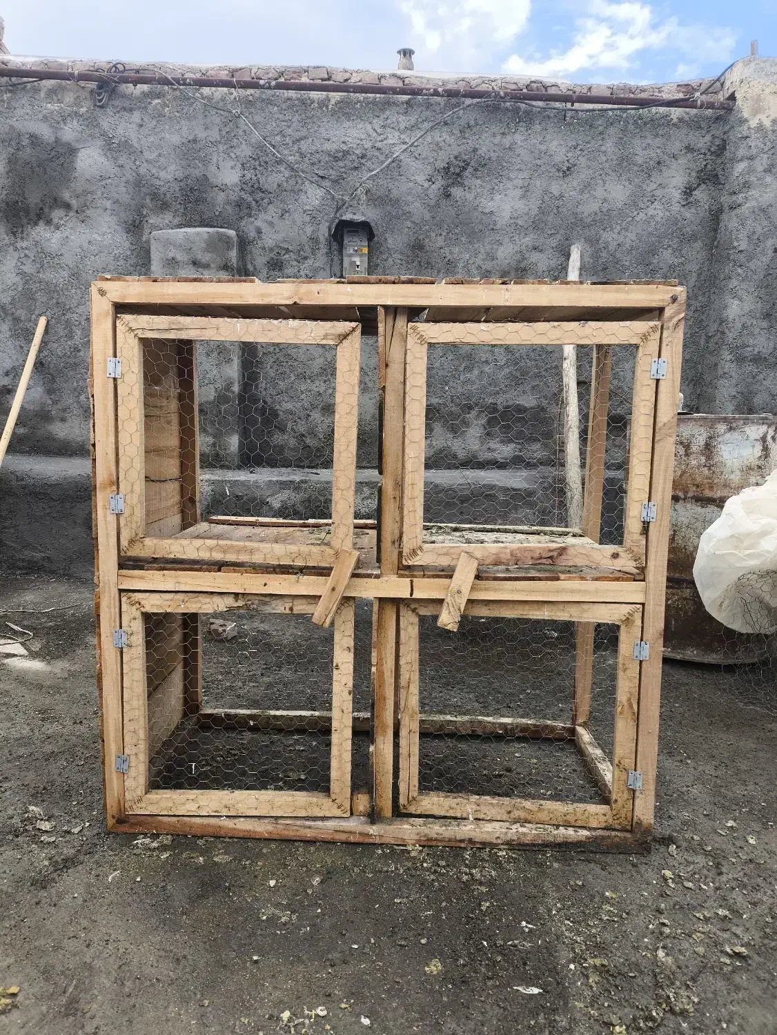 جفت کن کبوتر|لوازم جانبی حیوانات|نقده, |دیوار