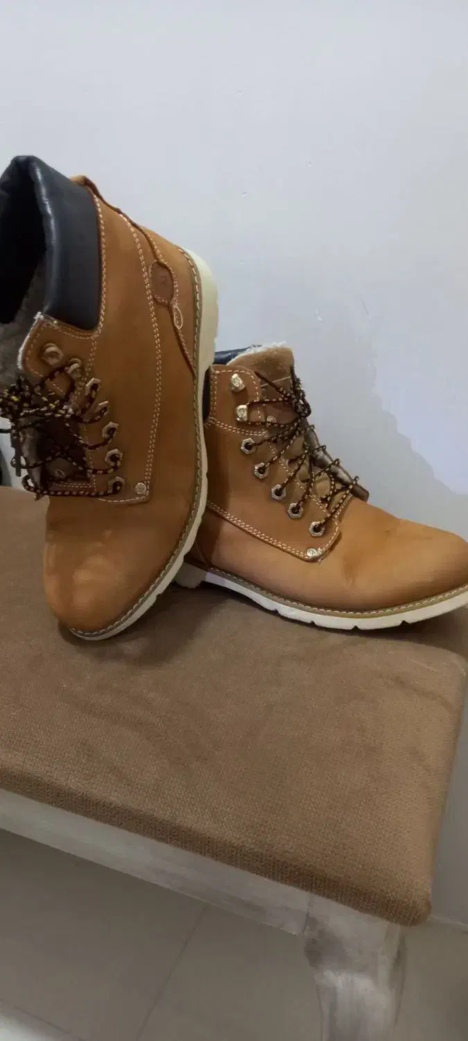 کفش مردانه|کیف، کفش، کمربند|تربت جام, شاهد|دیوار