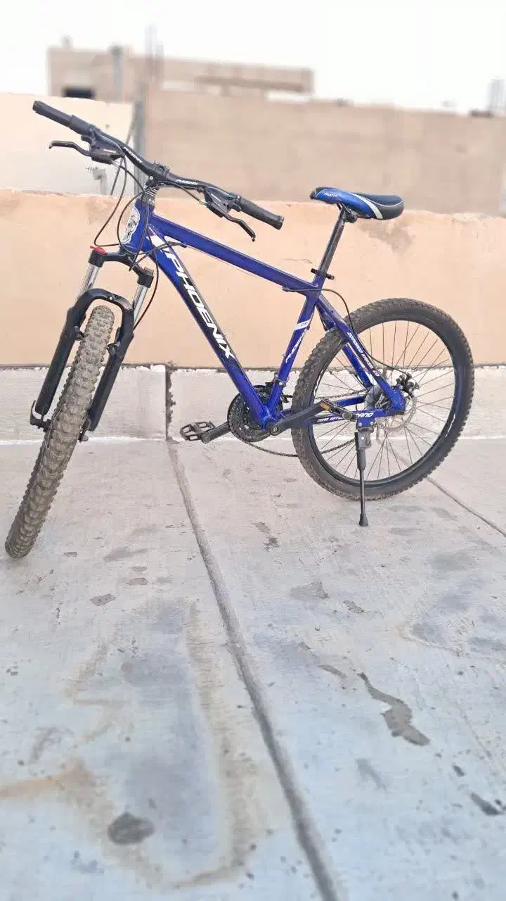 دوچرخه سایز ۲۶ فونیکس|دوچرخه، اسکیت، اسکوتر|تهران, چیتگر شمالی|دیوار