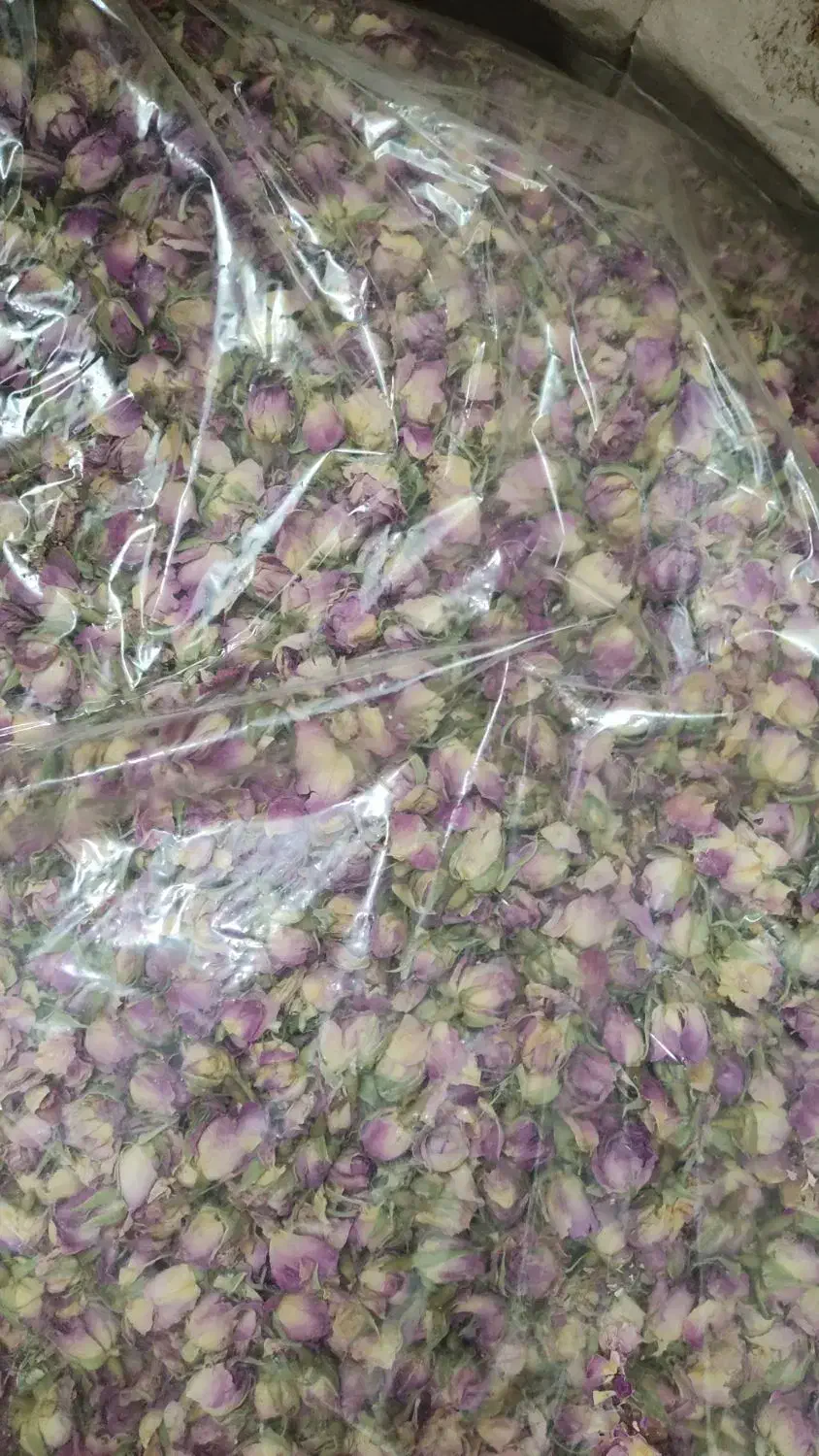 دمنوش غنچه گل محمدی|خوردنی و آشامیدنی|قم, عمار یاسر|دیوار