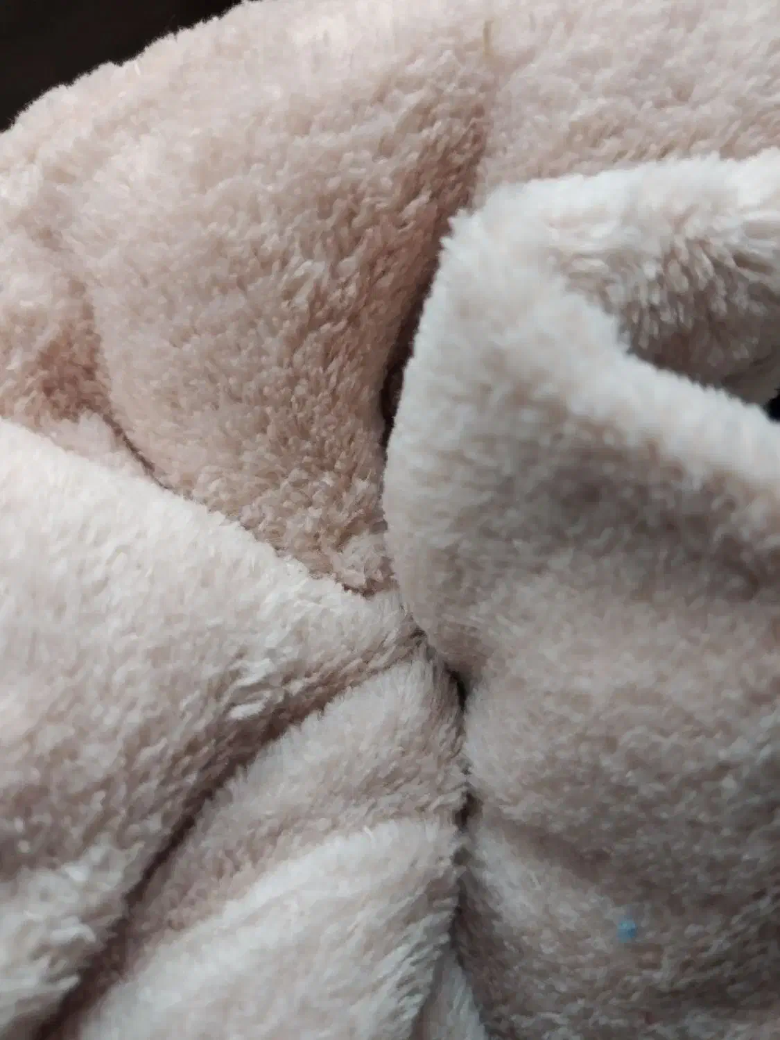 لباس|لباس|اهواز, گلستان|دیوار