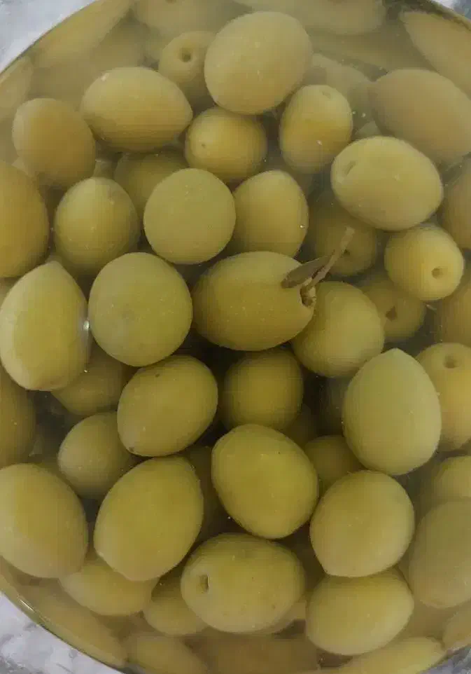 زیتون شور|خوردنی و آشامیدنی|مینودشت, |دیوار