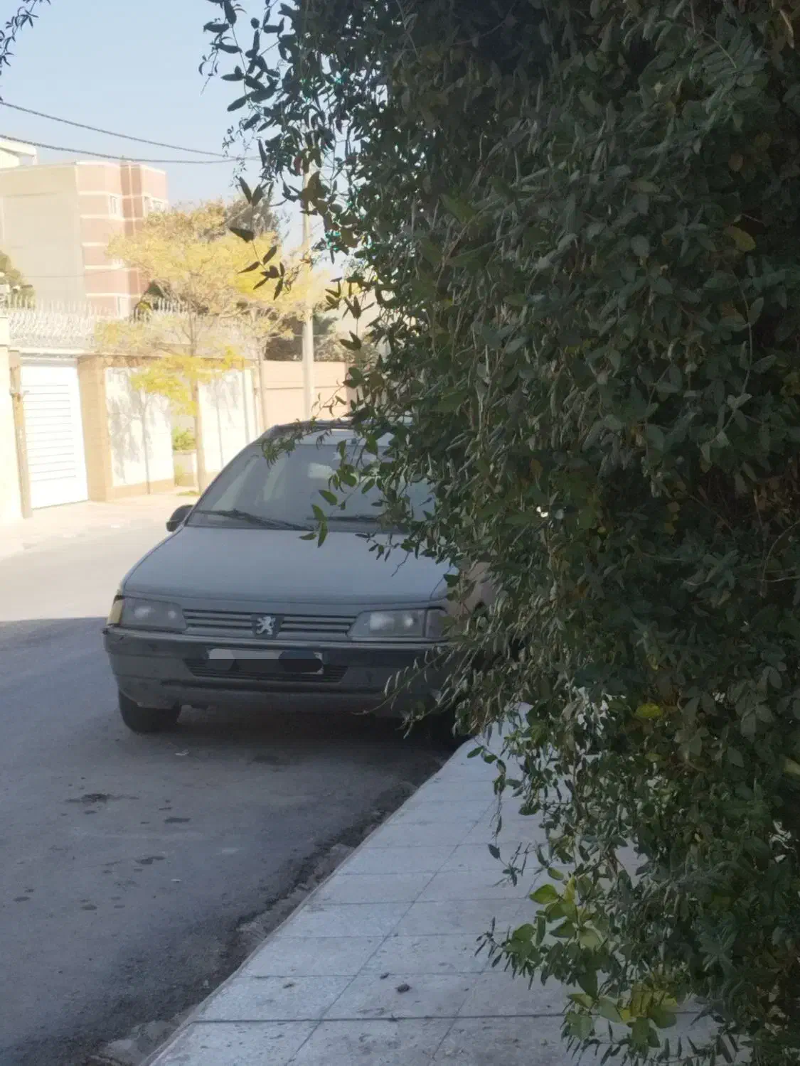 فروش یک دستگاه خودروی آردی دوگه Lpg|خودرو سواری و وانت|شاهینشهر, مخابرات (شهید بهشتی)|دیوار