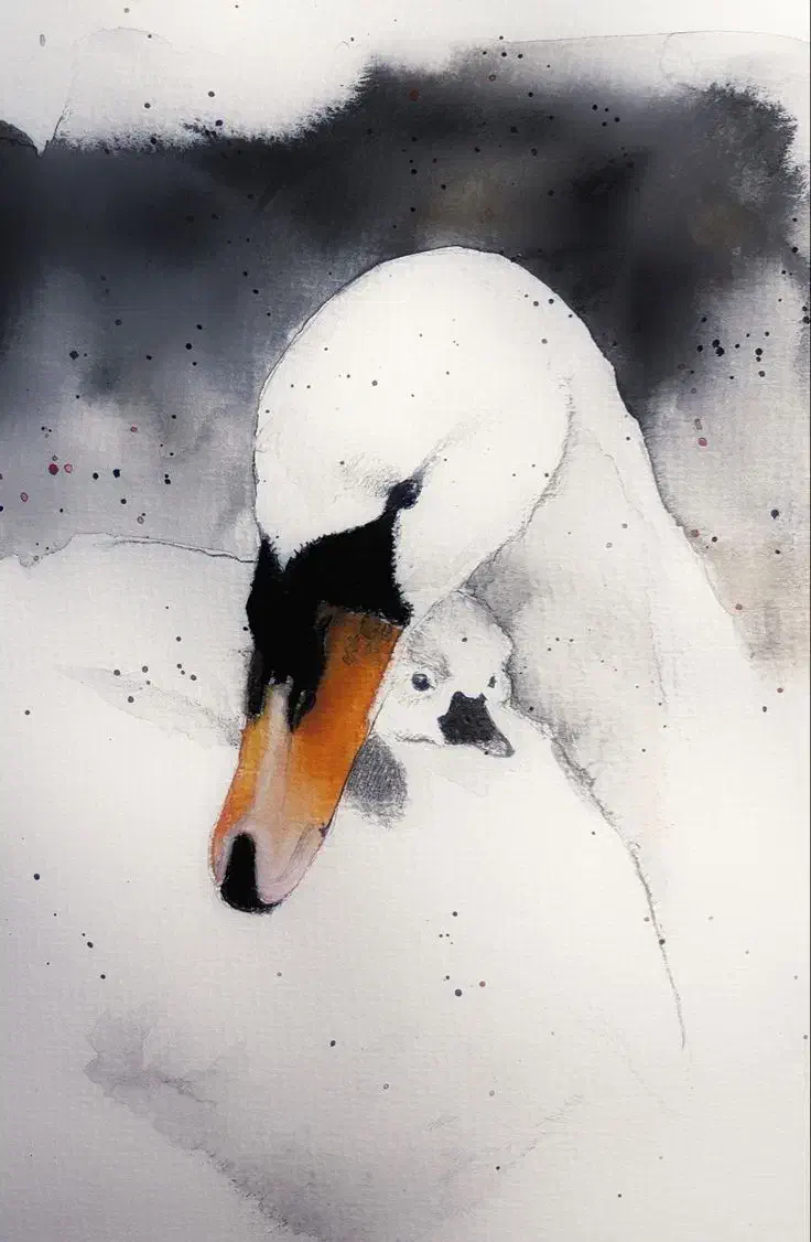 واگذاری سالن|خدمات پذیرایی، مراسم|دورود, |دیوار