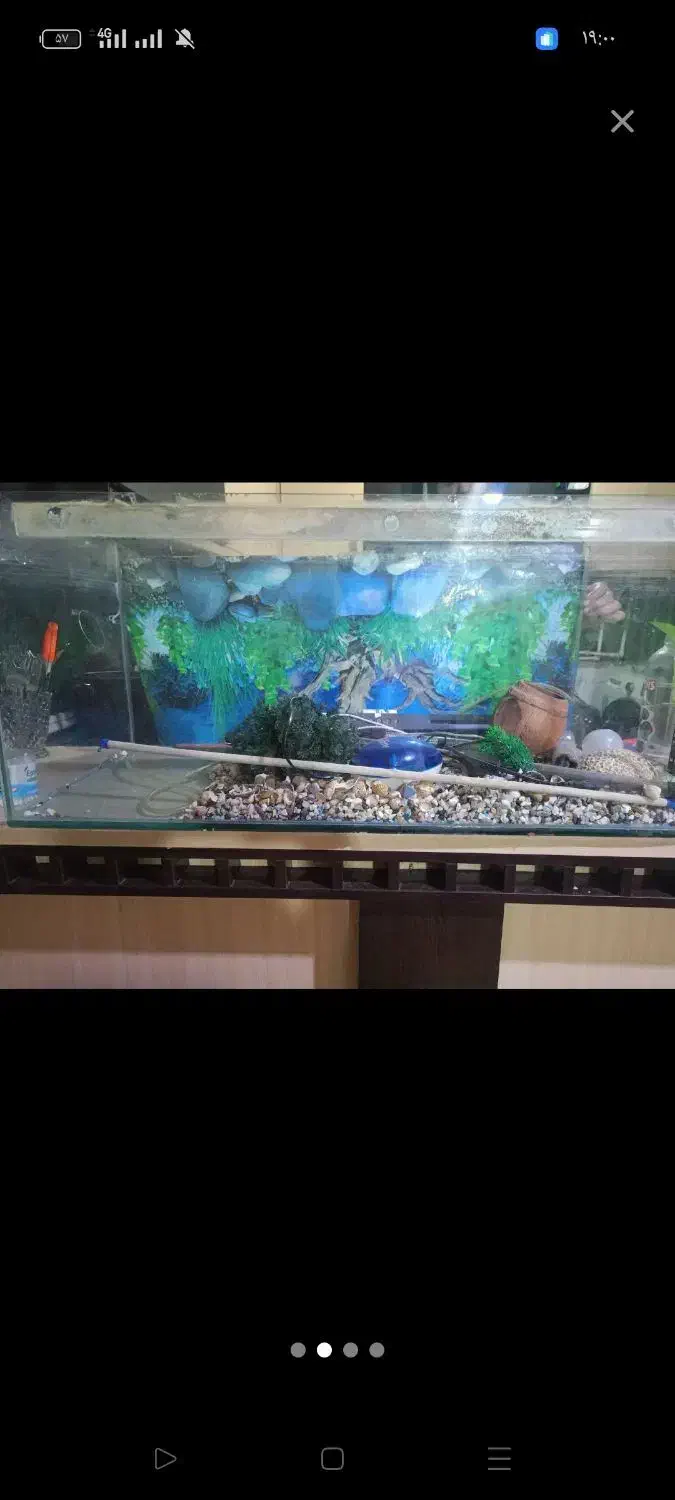 اکواریوم فروش فوری|ماهی|اهواز, شریعتی جنوبی|دیوار