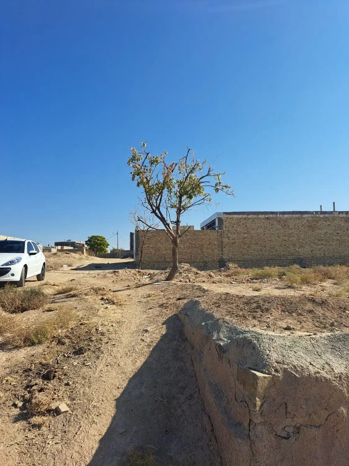 فرصت سرمایه‌گذاری پرسود در نزدیکی شهر ـ آغویه|فروش زمین و ملک کلنگی|تربت‌حیدریه, آغوی|دیوار