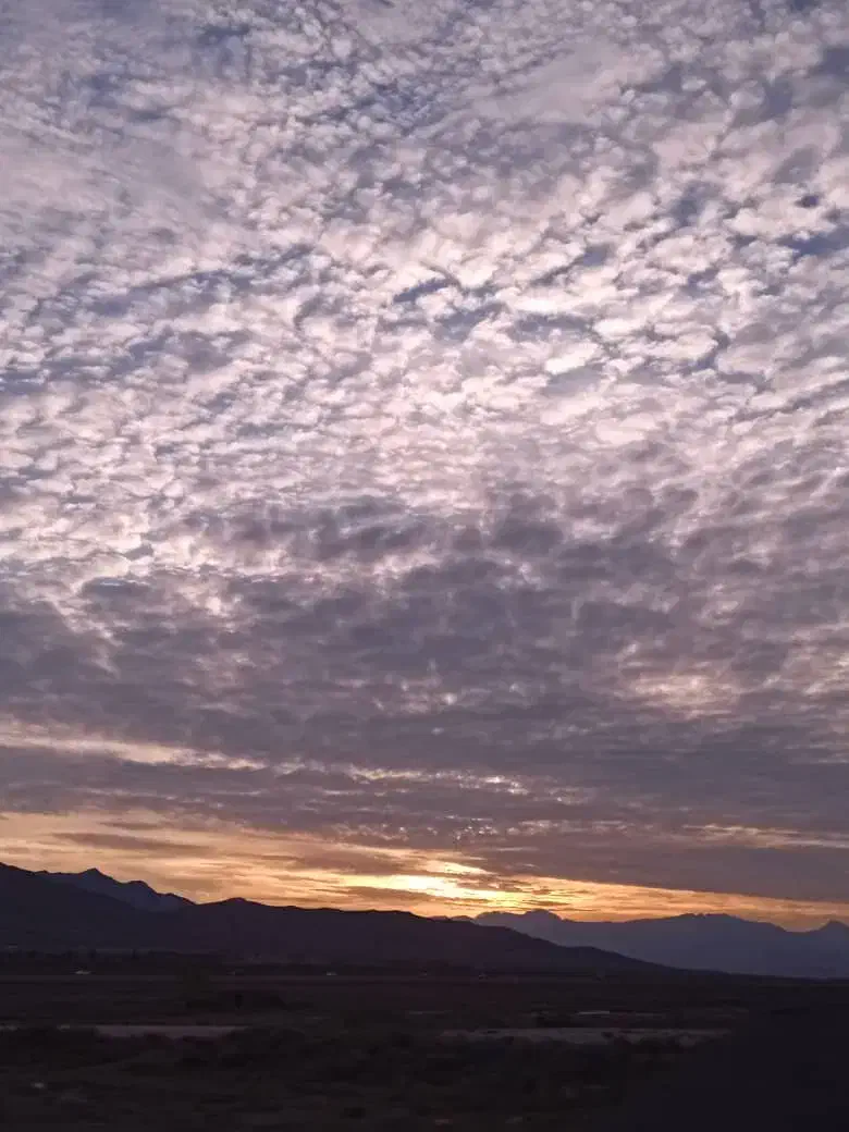 زمین بکر|فروش زمین و ملک کلنگی|صمصامی, |دیوار