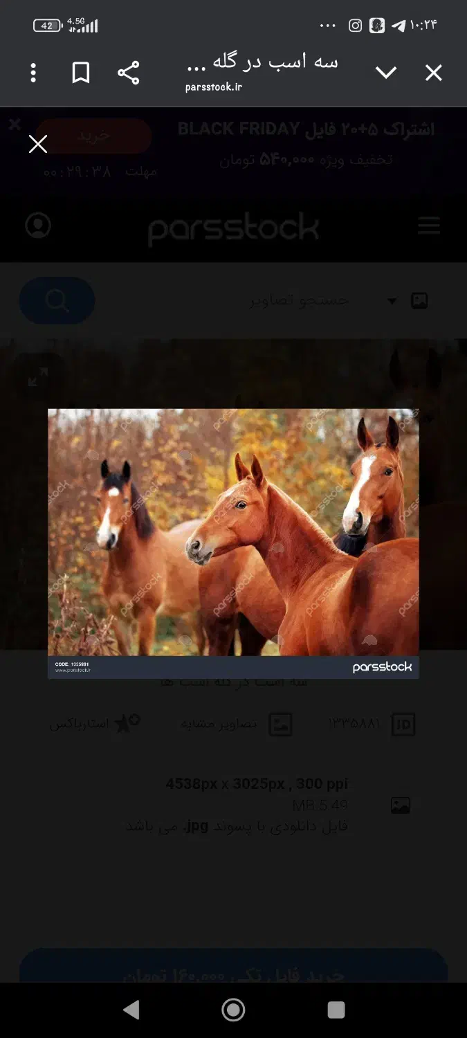 فروش سه راس اسب|اسب و تجهیزات اسب‌سواری|یاسوج, |دیوار