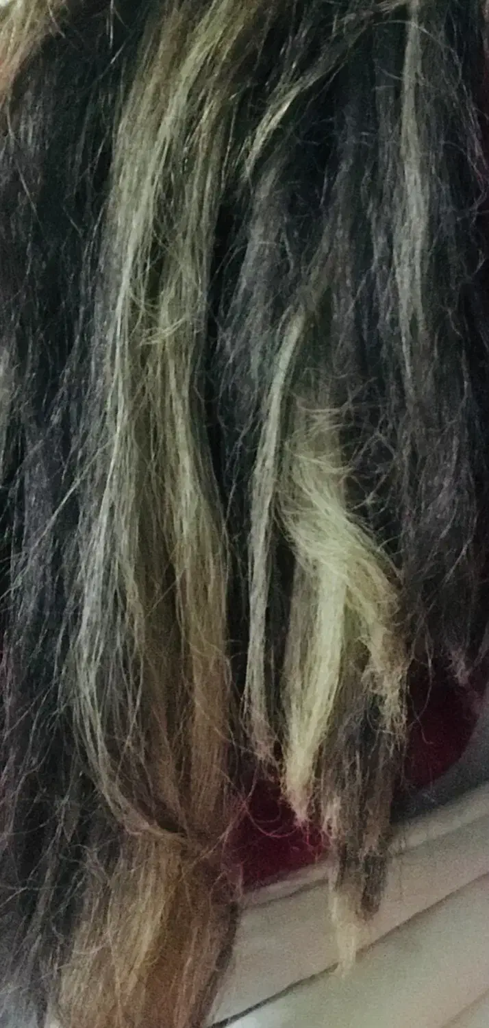 موی الیافی|آرایشی، بهداشتی، درمانی|اردبیل, |دیوار