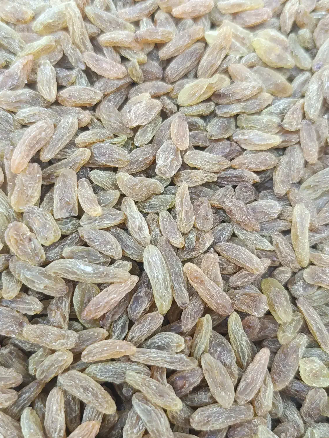 کشمش سبز کاشمری سفارشی اعلا|خوردنی و آشامیدنی|اصفهان, سودان|دیوار
