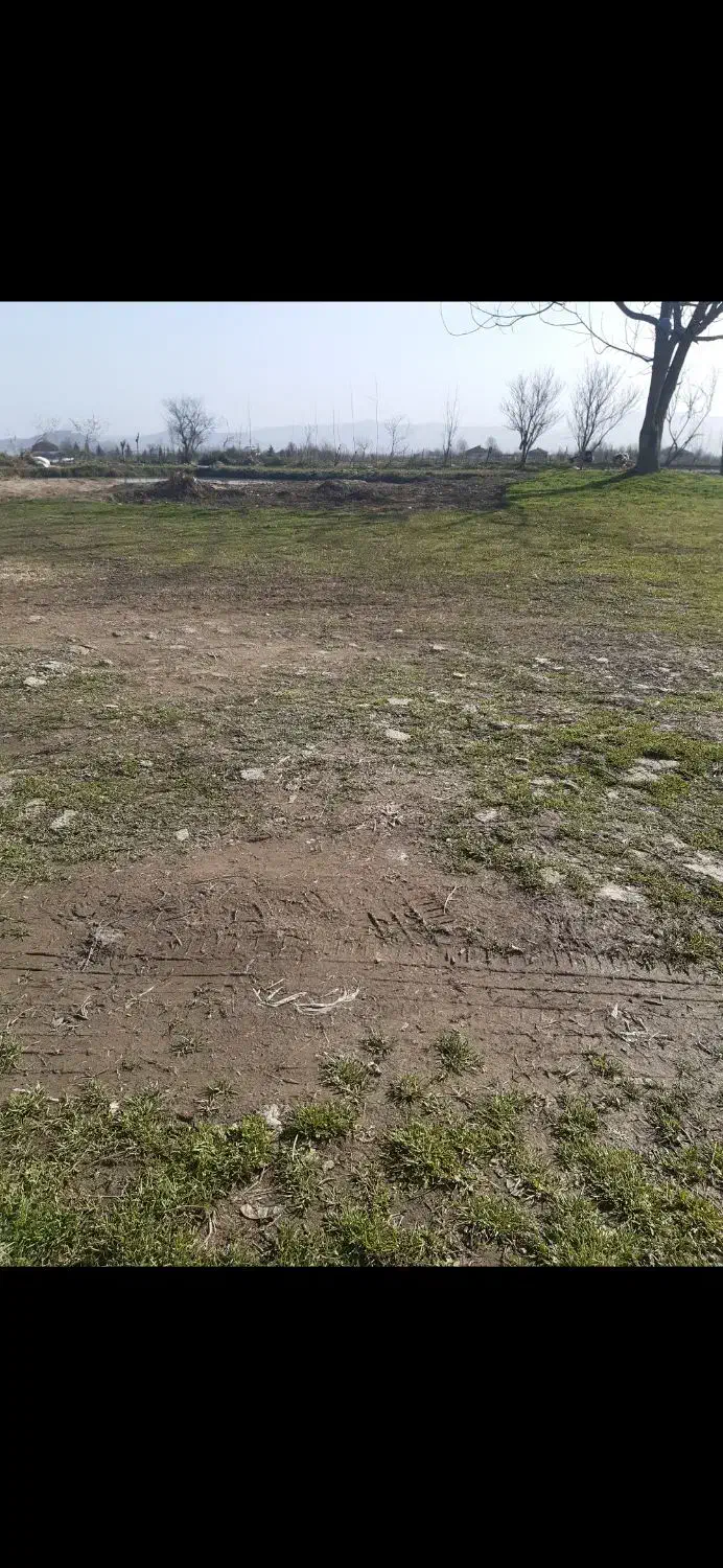 فروش زمین ۲ هزار متری کاملا مسکونی|فروش زمین و ملک کلنگی|رشت, باهنر|دیوار