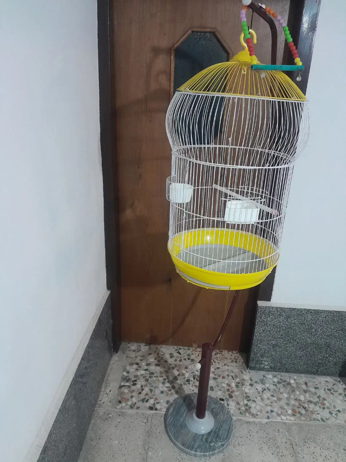 قفس پرنده|لوازم جانبی حیوانات|تالش, هشتپر|دیوار