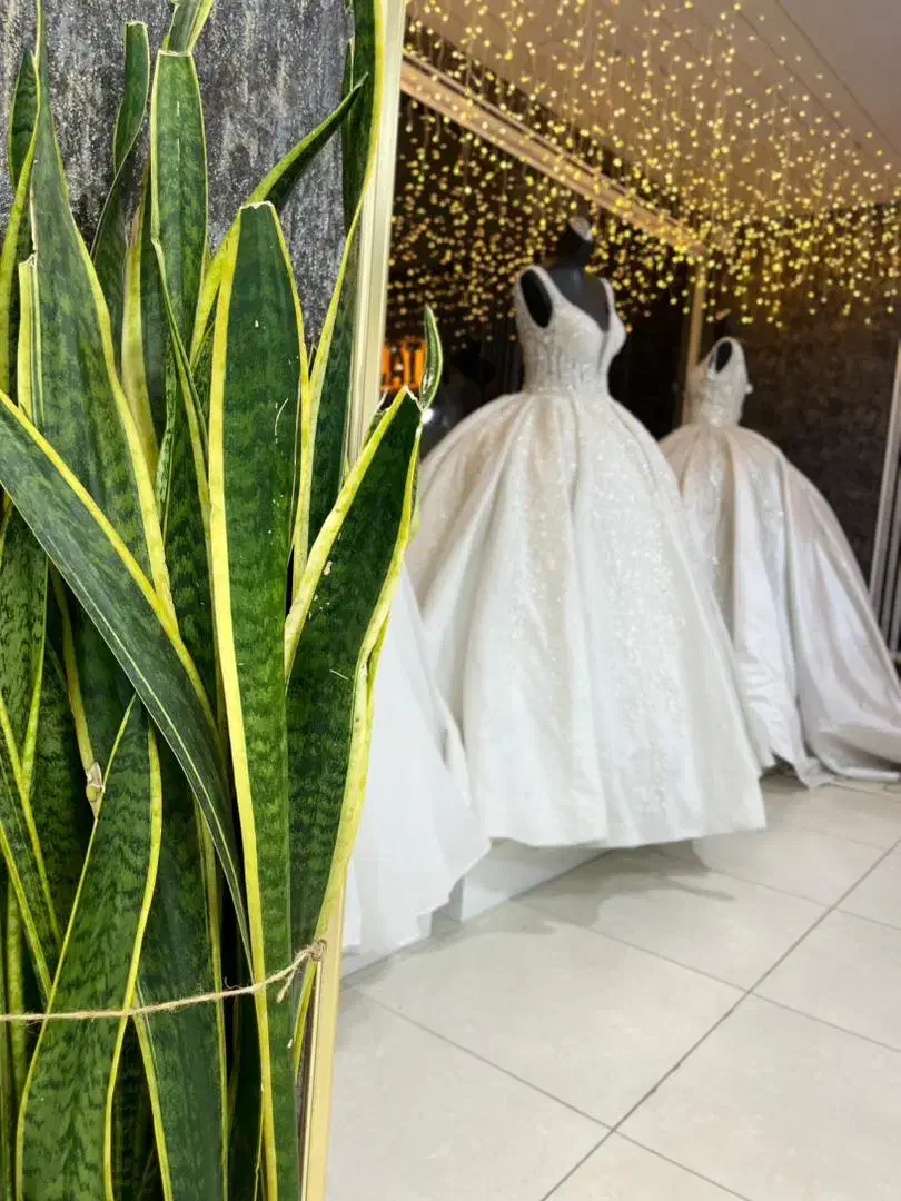 مزون لباس عروس تاج محل|لباس|شهرکرد, |دیوار