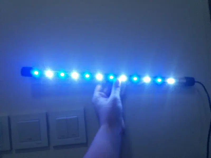 چراغ اکواریوم|ماهی|اهواز, سپیدار|دیوار