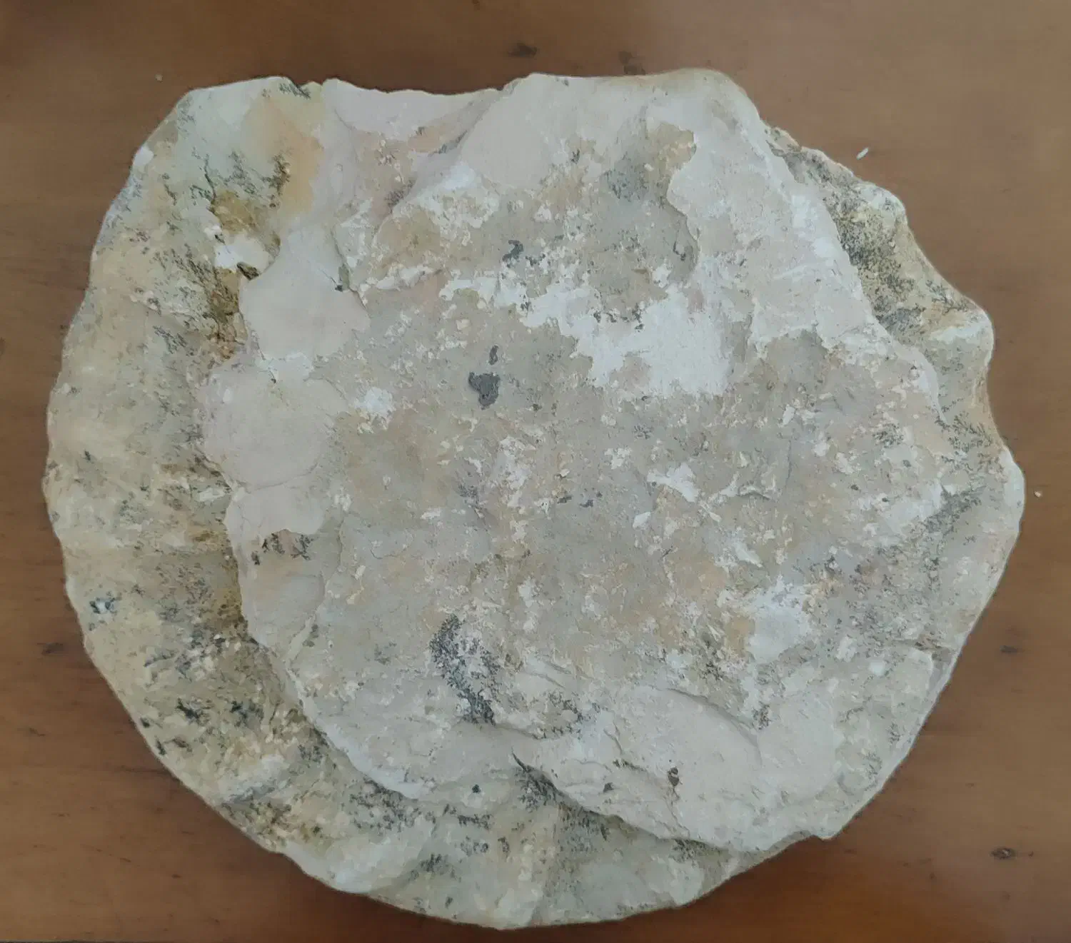 فسیل|کلکسیون اشیاء عتیقه|تهران, مختاری|دیوار