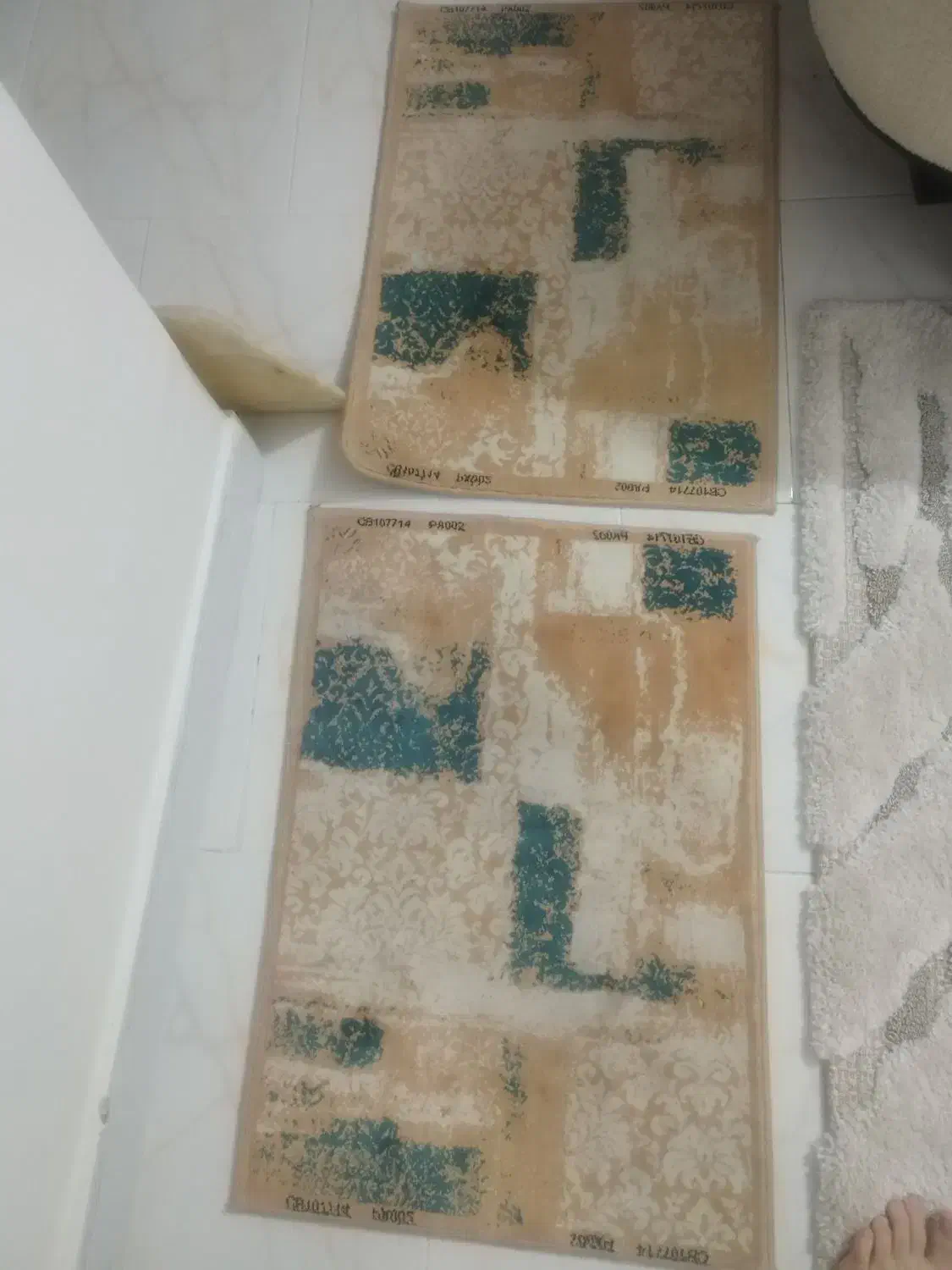 پادری|پادری|تهران, طیب|دیوار