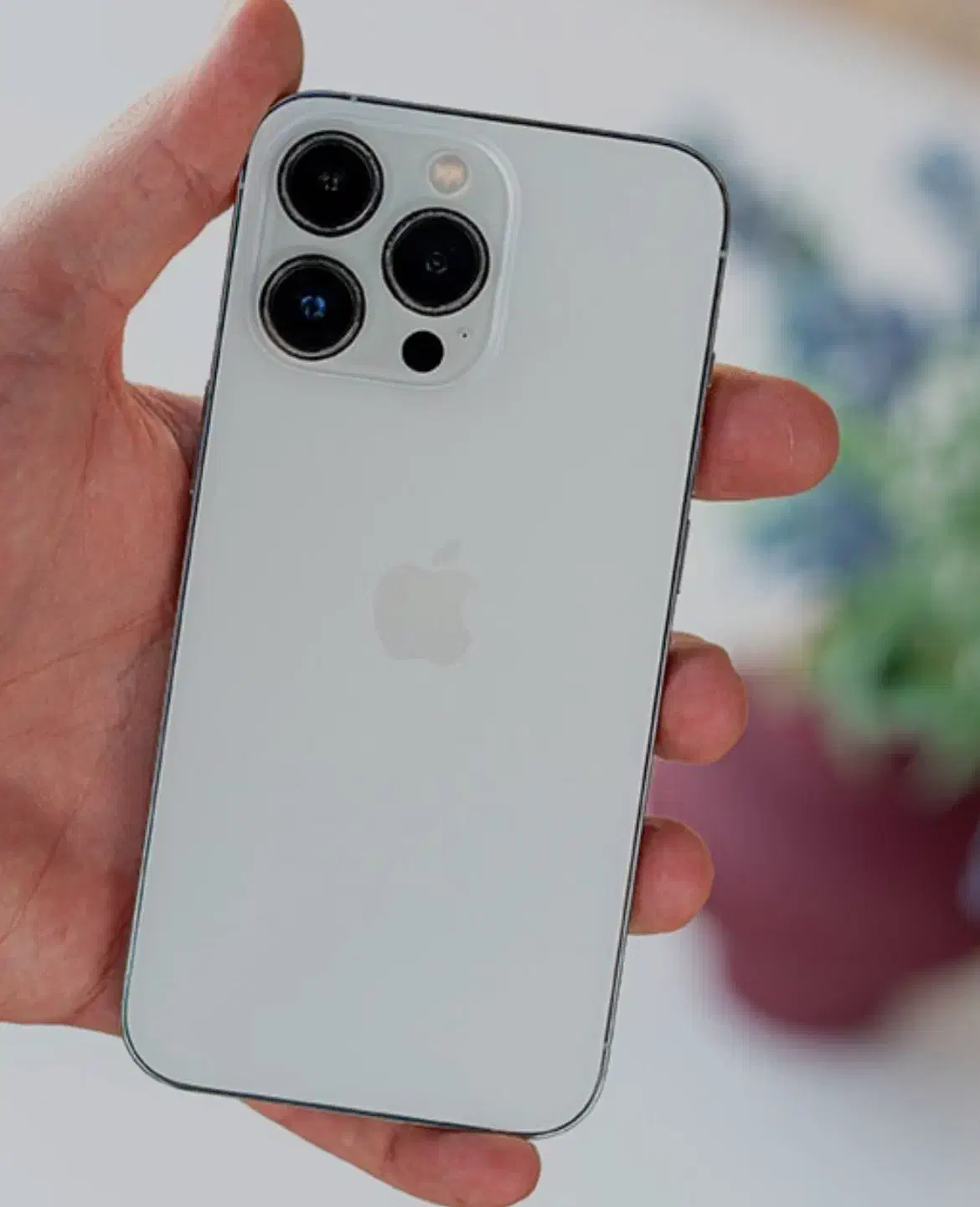 ایفون 13پرو zaa سفید|موبایل|یزد, |دیوار