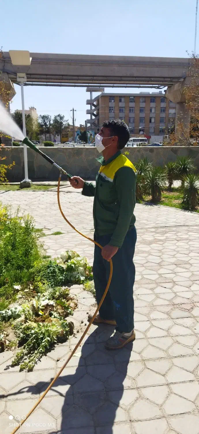 باغبان.انجام کلیه کارهای باغبانی|خدمات باغبانی و درختکاری|قم, نیروگاه|دیوار